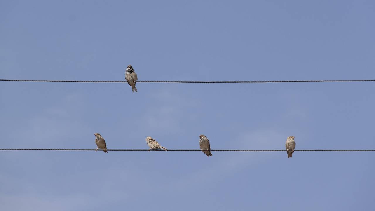 calidad del aire en Guanajuato