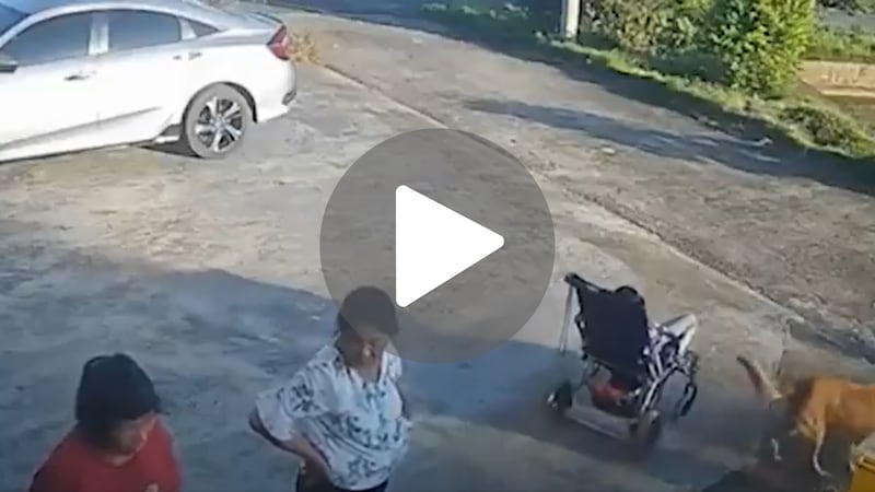 Niño cae estanque.png