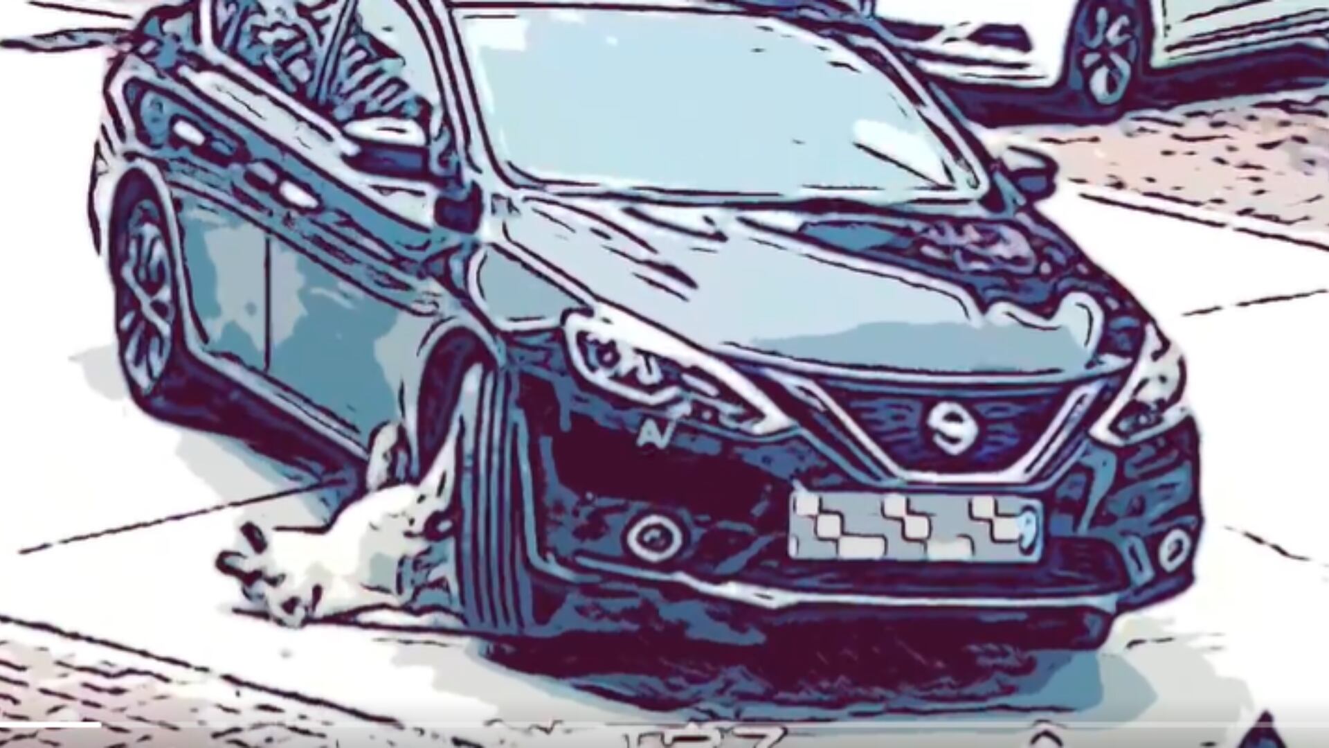 Perro con sobrepeso sobrevive tras ser atropellado por un coche.png