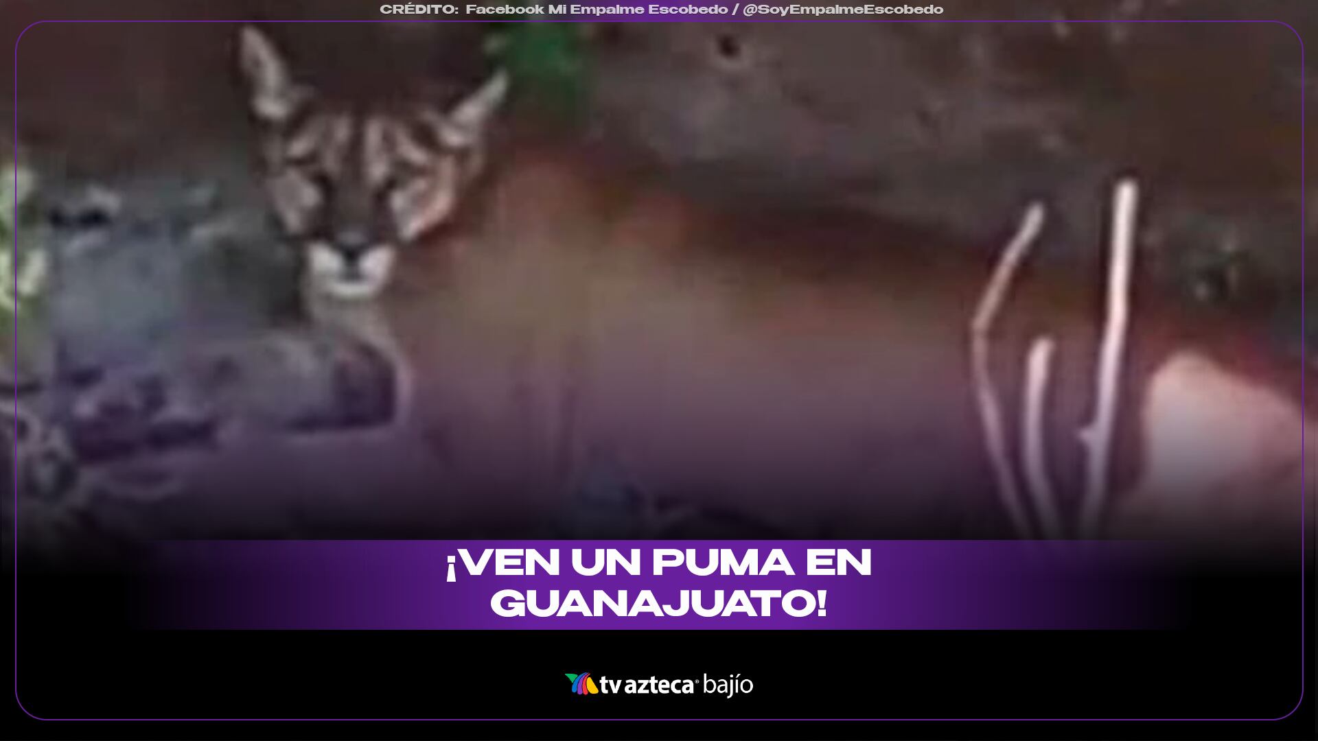PORTADA SITIO PUMA GTO.png