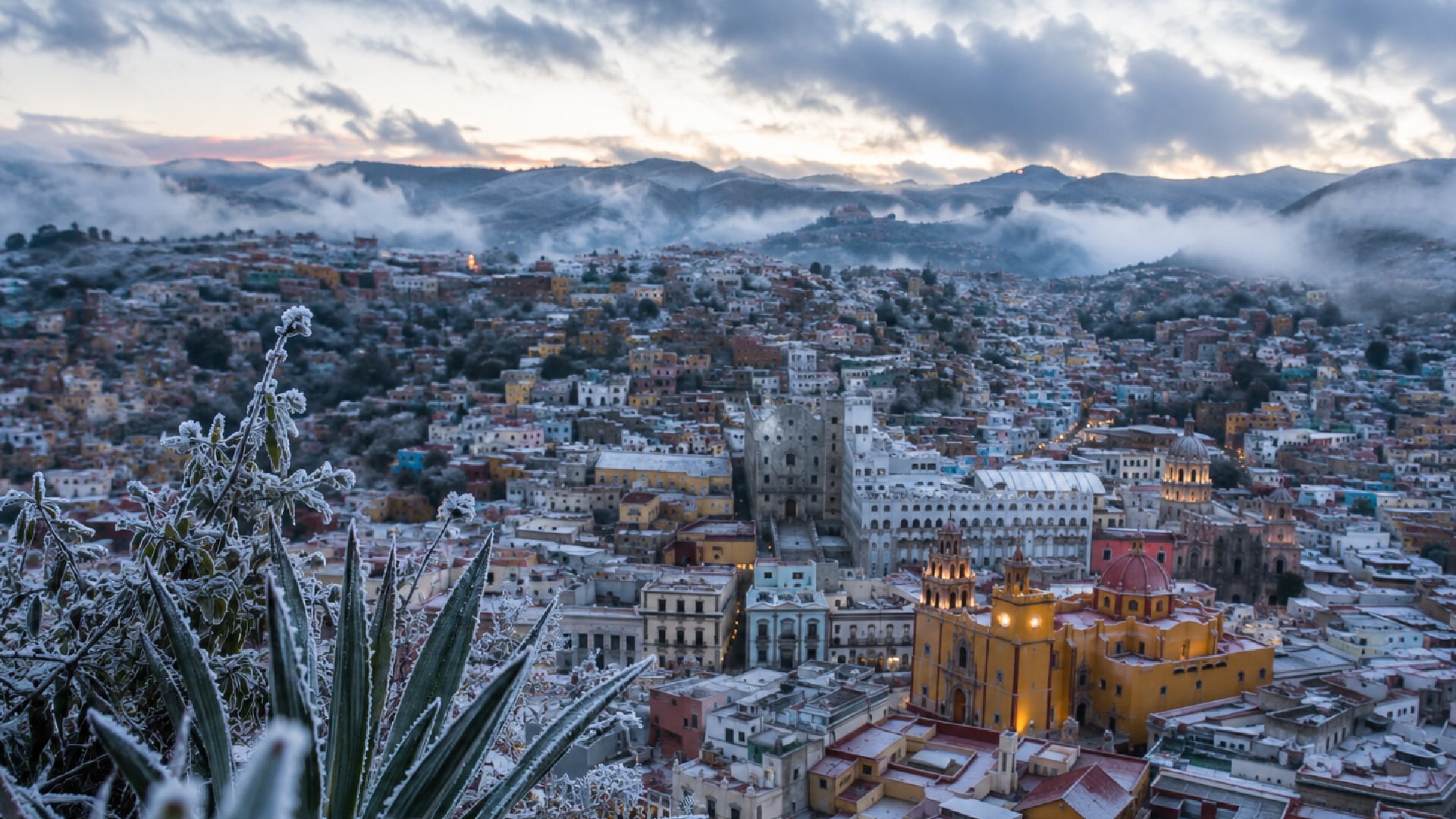 ¡Guanajuato se prepara para el FRÍO! El Niño prende las ALERTAS por onda gélida más INTENSA este 2026