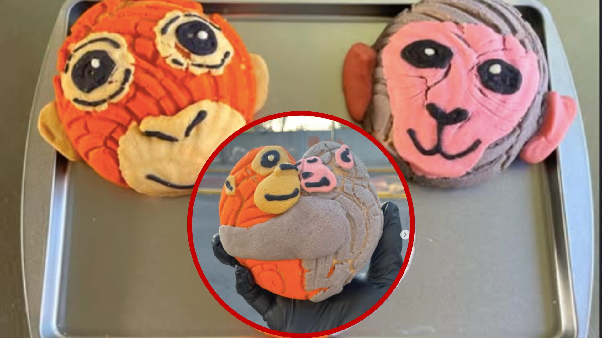 Concha inspirada en Punch, el mono viral de Japón, conquista redes desde una panadería en CDMX.png