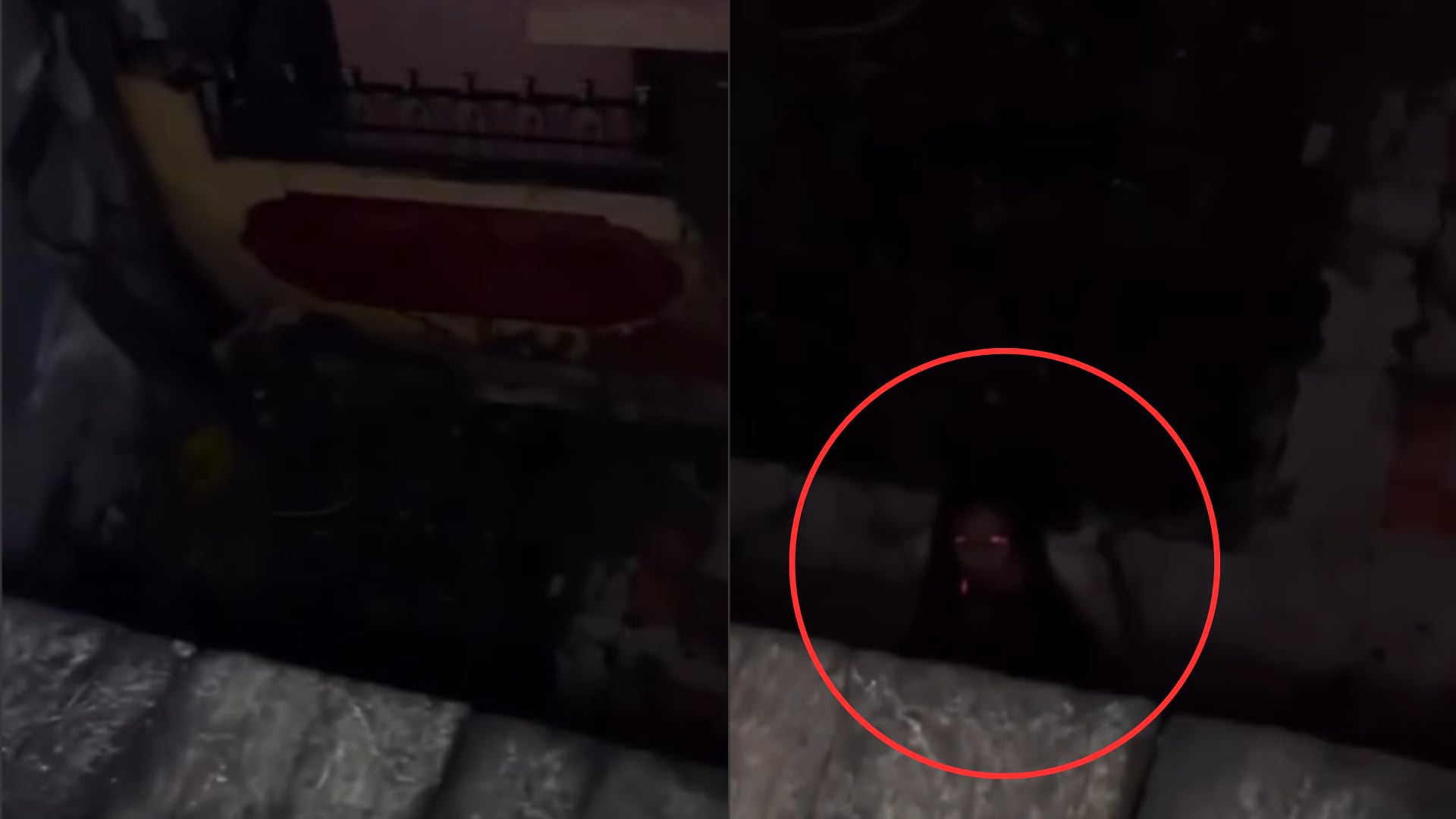 Demonio captado en video