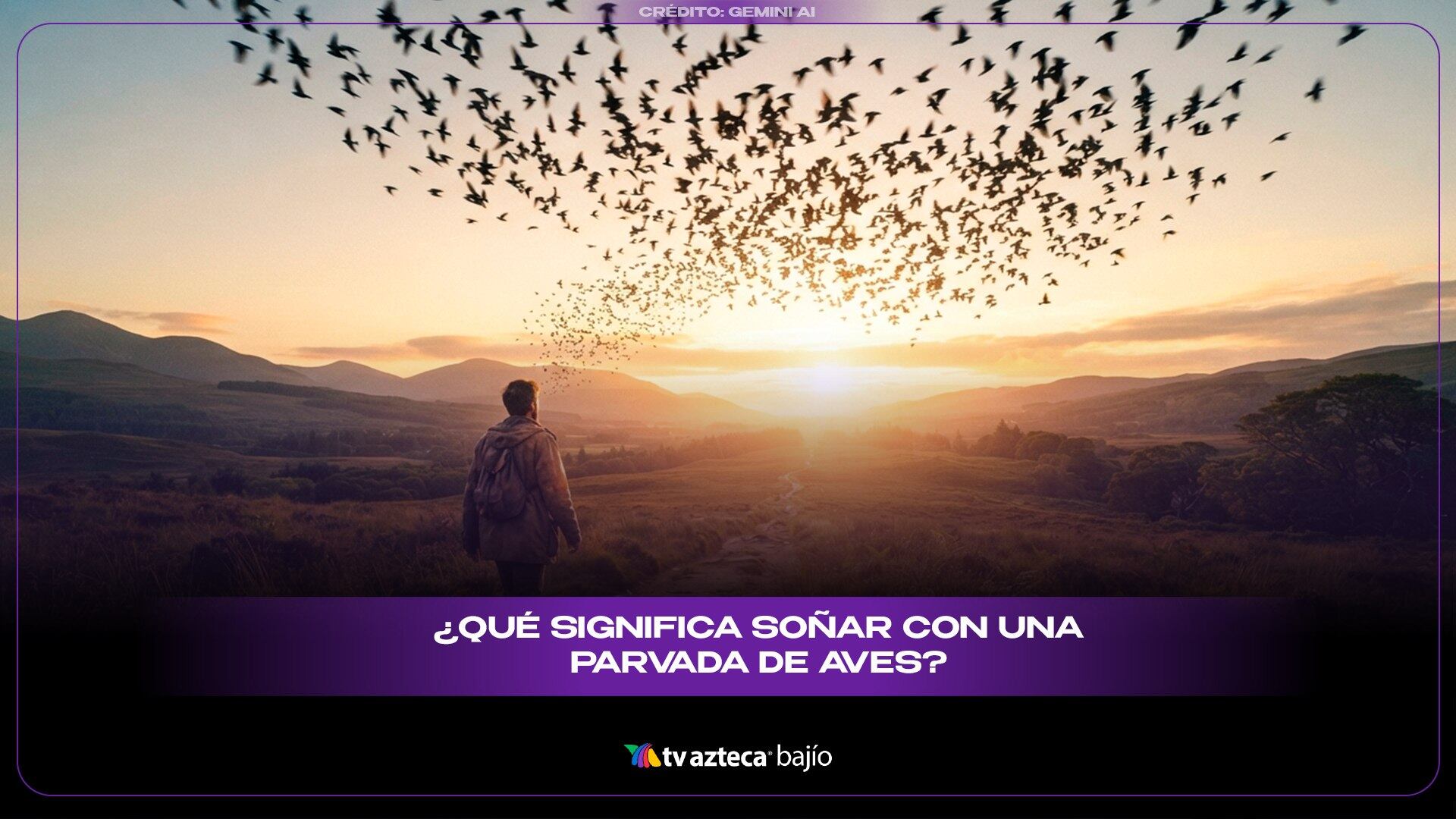 ¿Qué significa soñar con una parvada de aves?