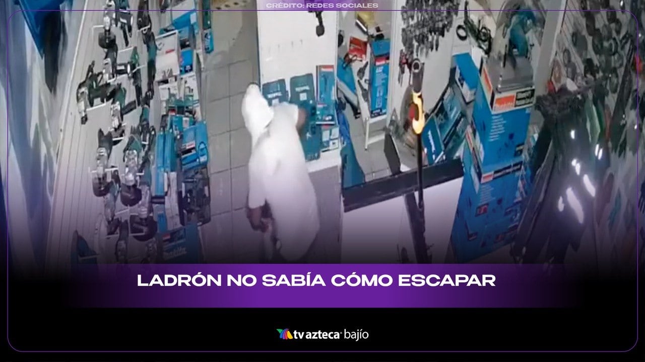 VIDEO | ¡Entró como espía, pero salió como pudo!