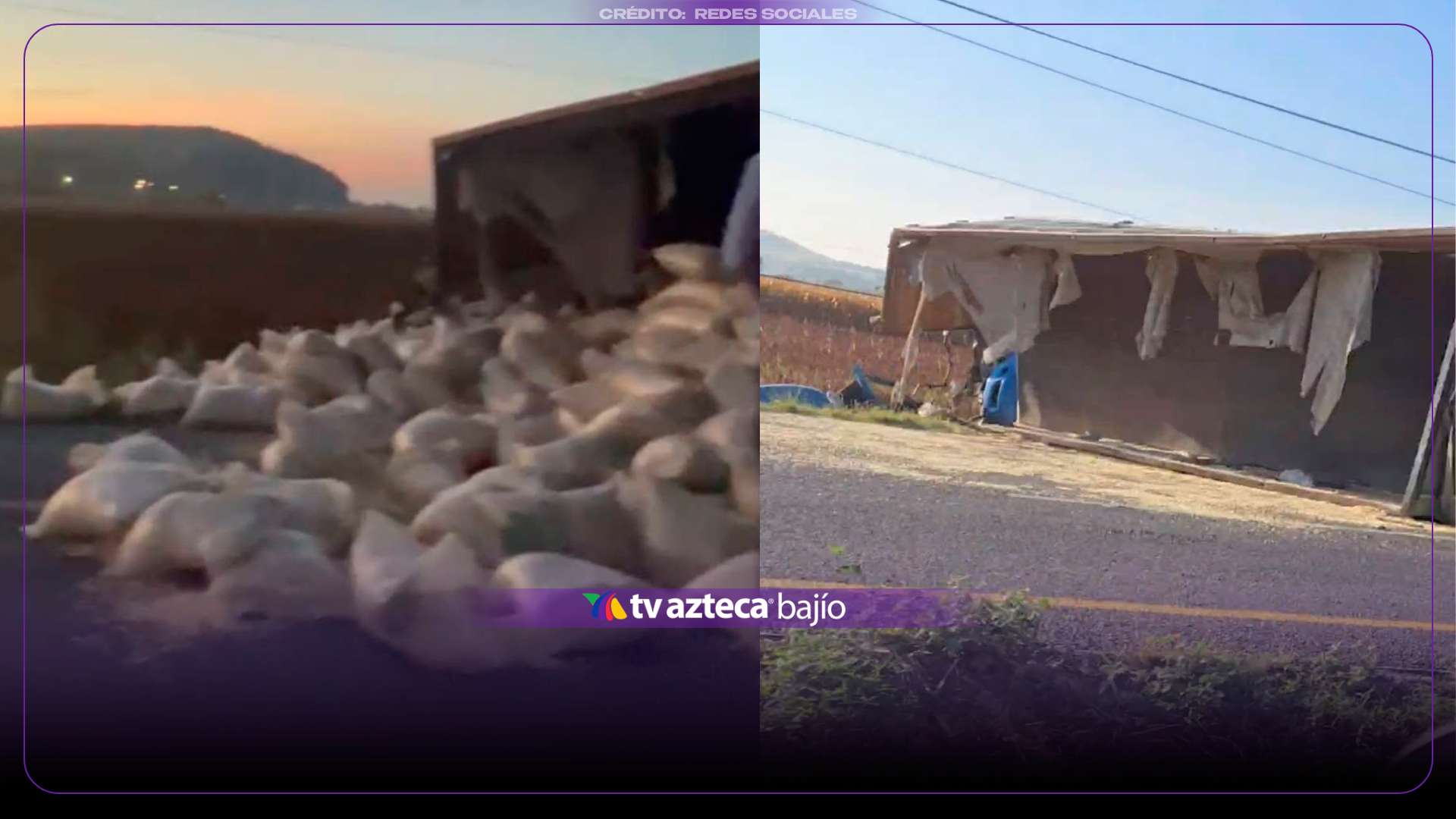 Vuelca TRÁILER cargado de MAÍZ sobre esta carretera de Guanajuato; testigos HACEN RAPIÑA del cargamento: VIDEO