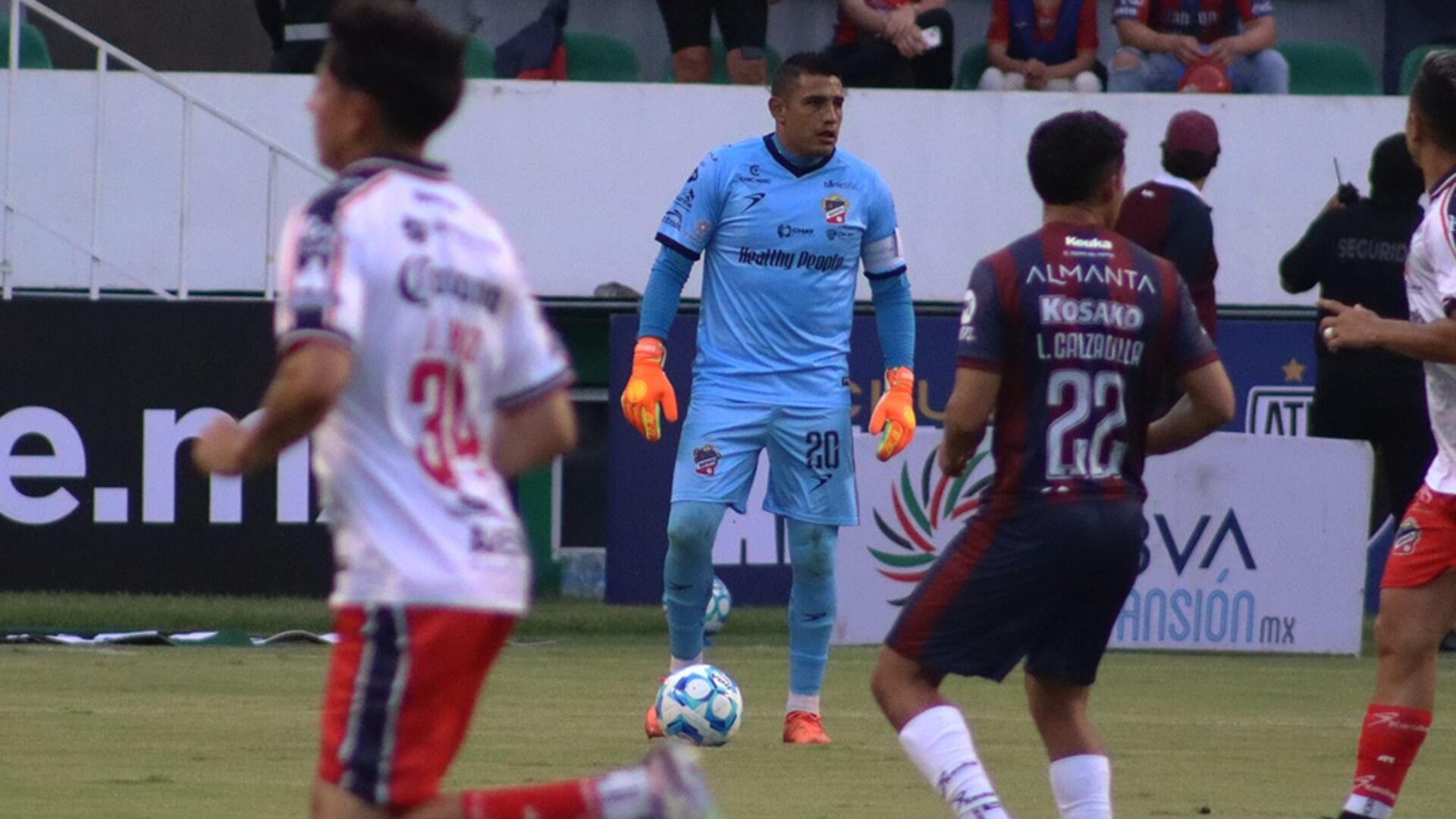 Gansito Hernández.png