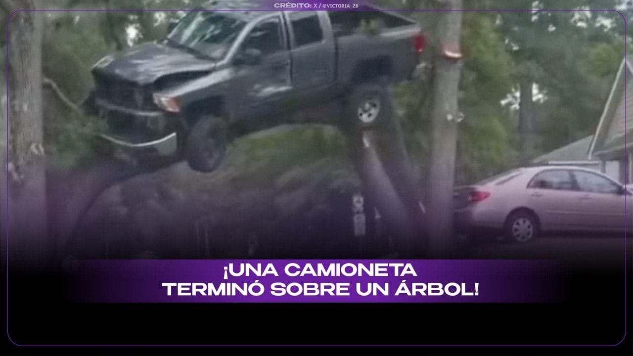 Camioneta queda suspendida entre árboles tras incidente inusual