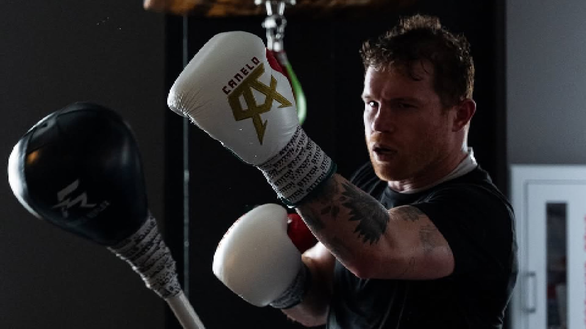 Saúl Canelo Álvarez.png