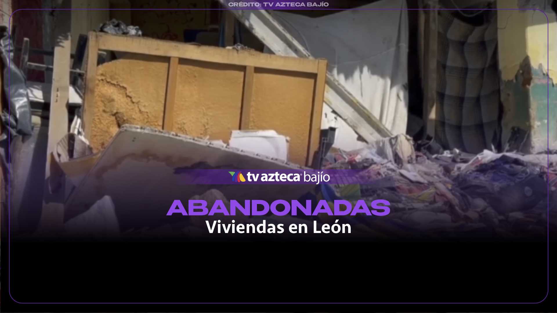 ¡ALERTA en León! Más de 60 MIL fincas abandonadas generan INSEGURIDAD, plagas y temor: “unas ratotas que parecen conejos”