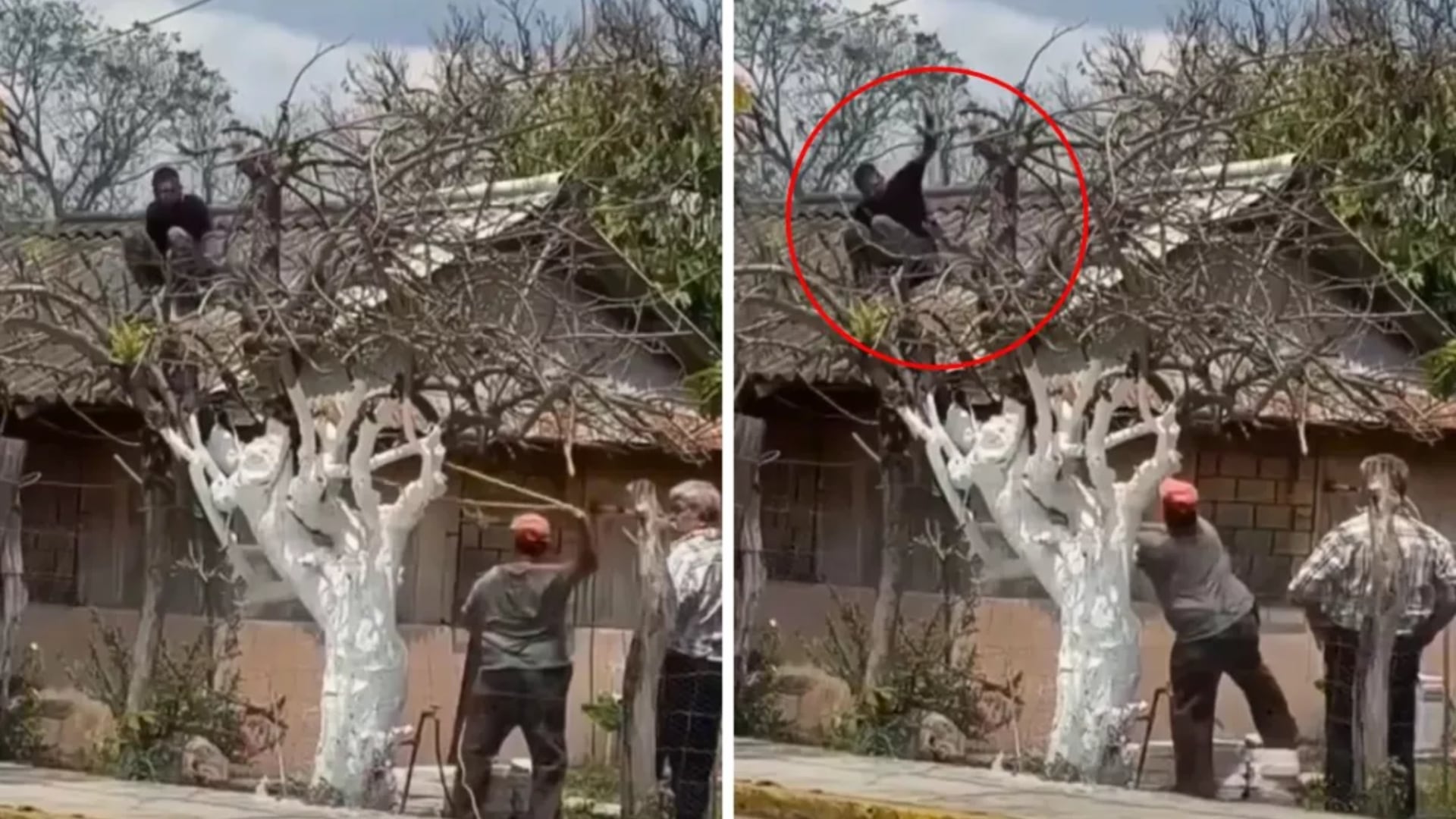 Video muestra cómo lazan a ladrón escondido en un techo en Veracruz.png