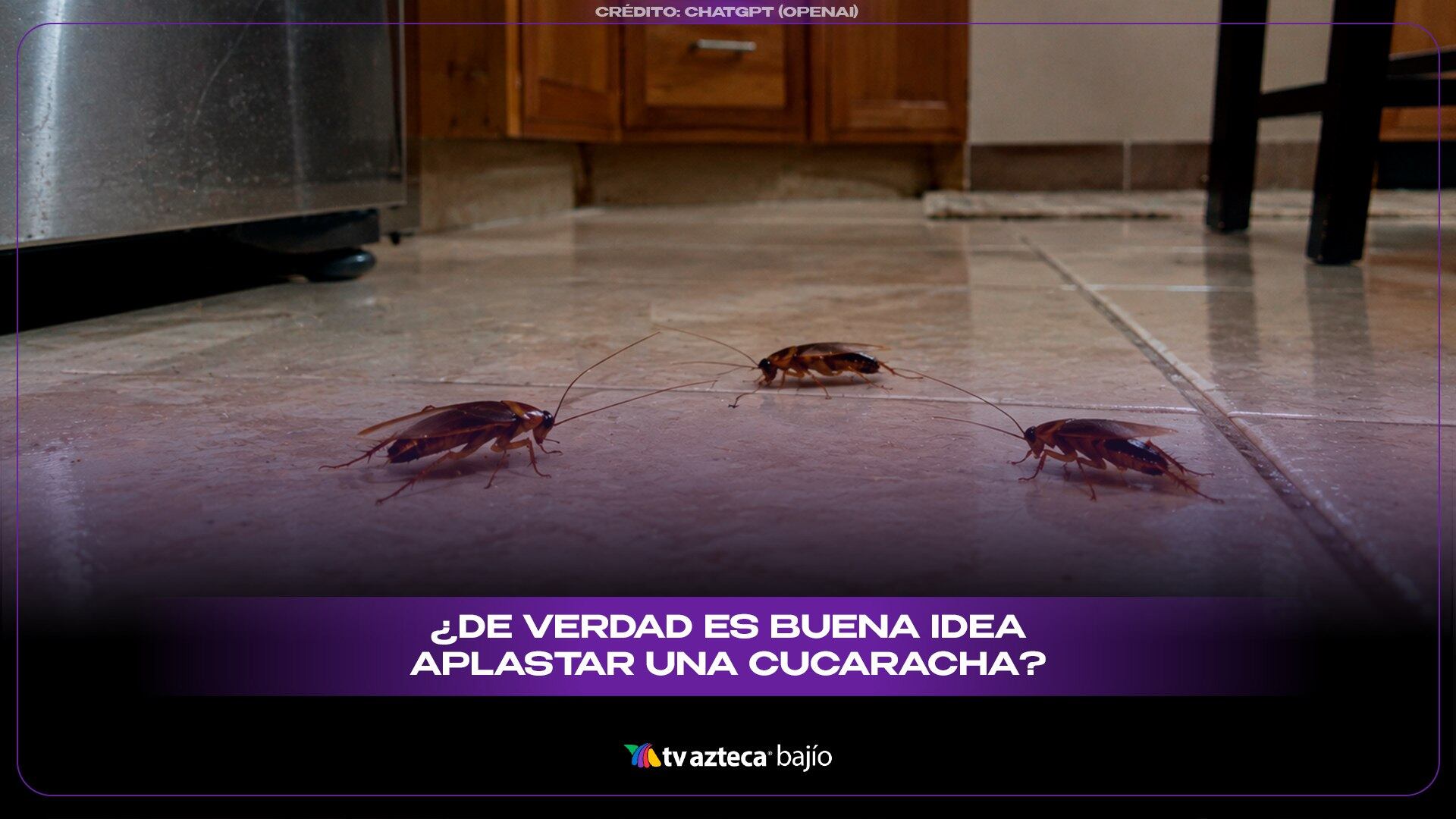 ¡NO LA APL4STES! Esto puede pasar si M4TAS una CUCARACHA de un pisotón