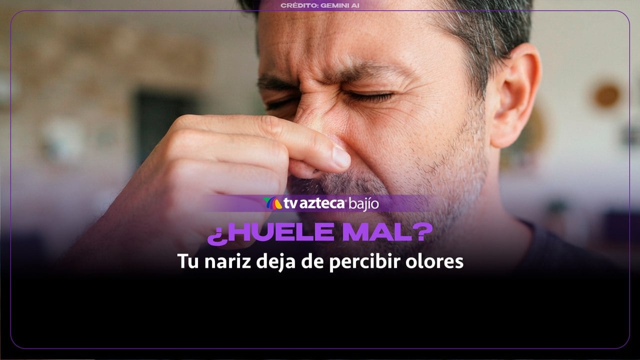 ¿Alguna vez has notado que dejas de percibir los malos olores o cualquier aroma constante a los pocos minutos? Aquí te explicamos la razón