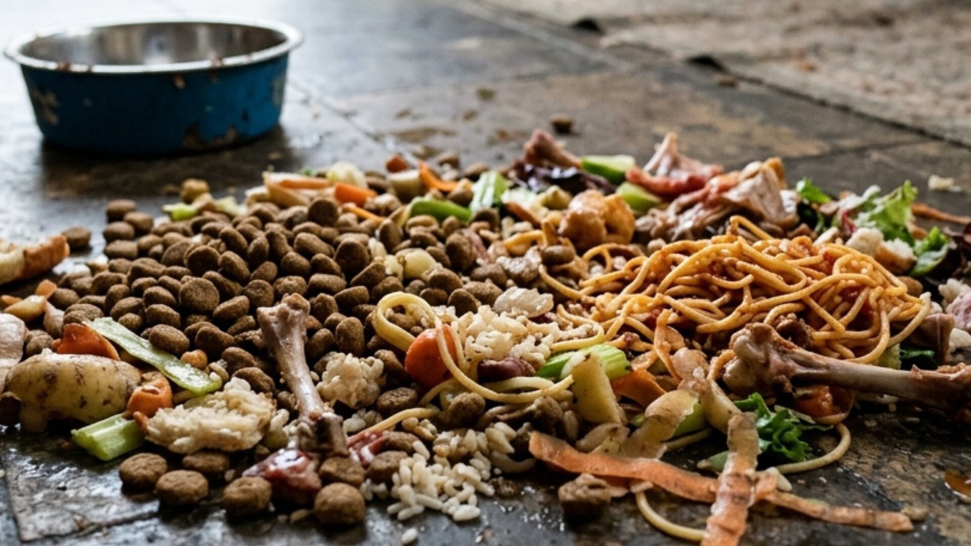 ¡NO TENÍAN QUÉ COMER! Menores se alimentaban con croquetas y desperdicios; así ocurrió