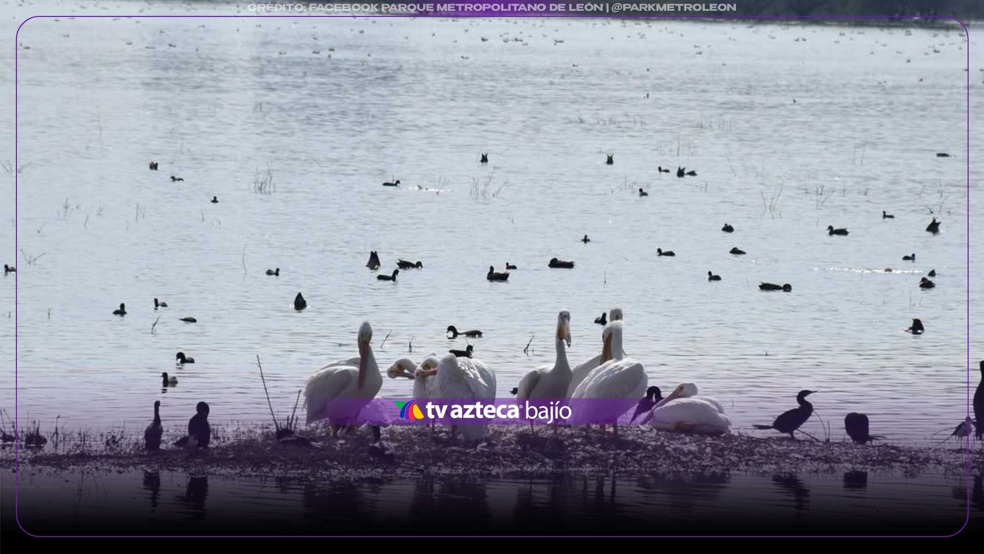 ¿Se DESBORDÓ? La presa El Palote SUBE su nivel tras 6 horas de INTENSA LLUVIA en León; así luce AHORA