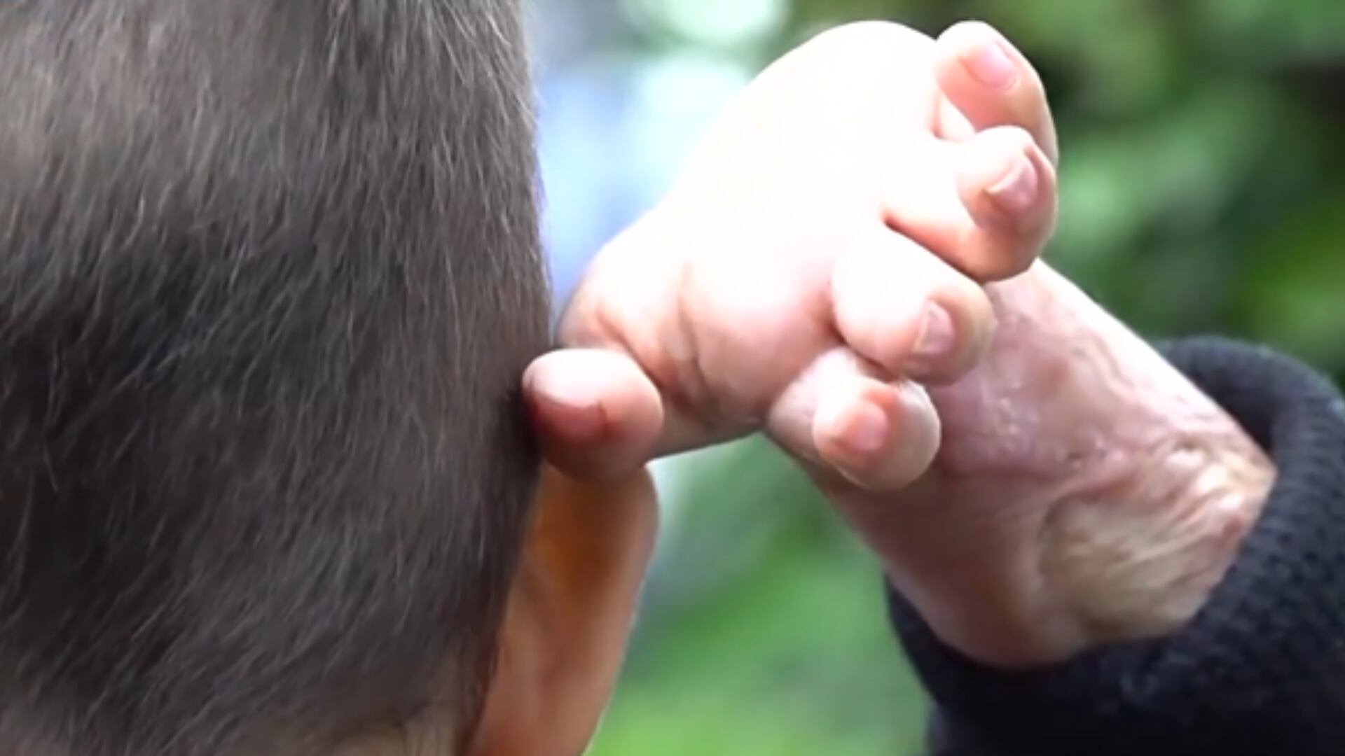 VIDEO “Que mi HIJA se vaya tranquila, aquí cuidamos a su b3bé” Abuela narra como su NIETO sobrevive a quemaduras extremas 