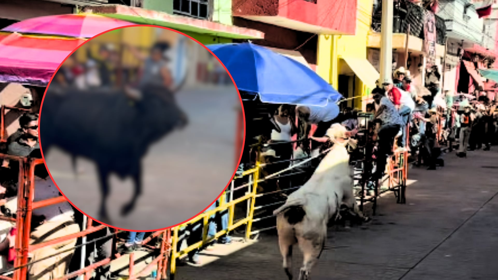 Hombre MU3RE al sufrir BRUTAL CORNADA de un TORO durante fiestas patronales en Guanajuato; vecinos lo identifican