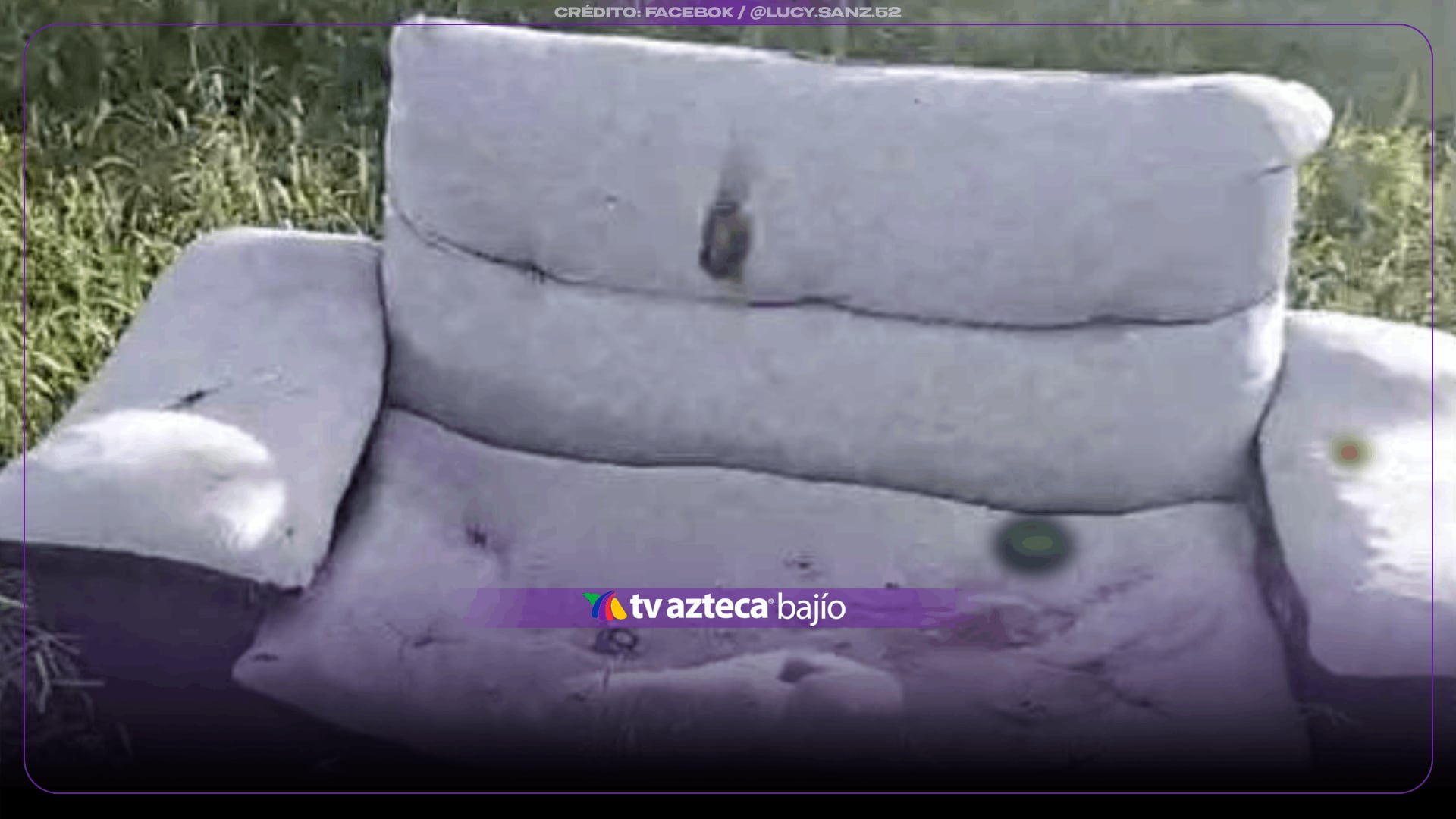 FOTOS | ¡Estaba en un sillón! Encuentran a un r3cién n4cid0 en este punto de León; ¿cuál es su estado de salud? 