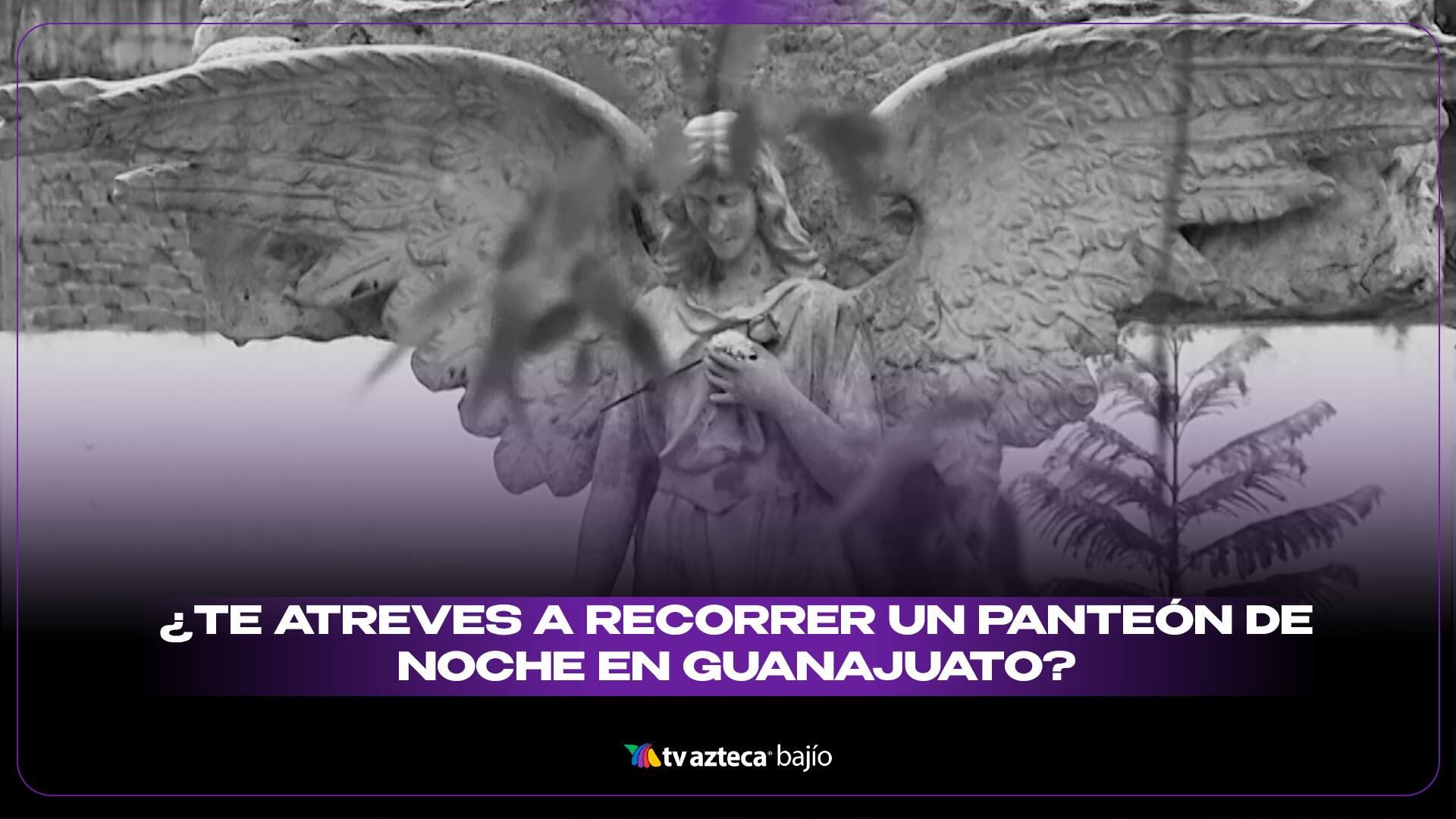 PORTADA PANTEON.png