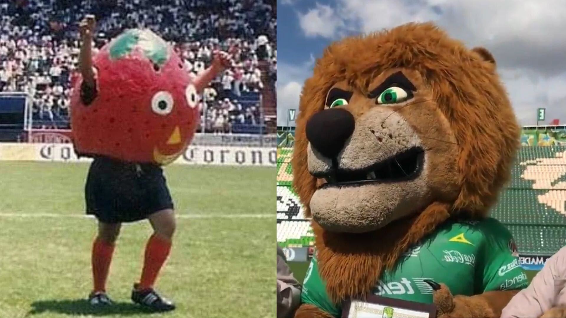 Botargas del Club León