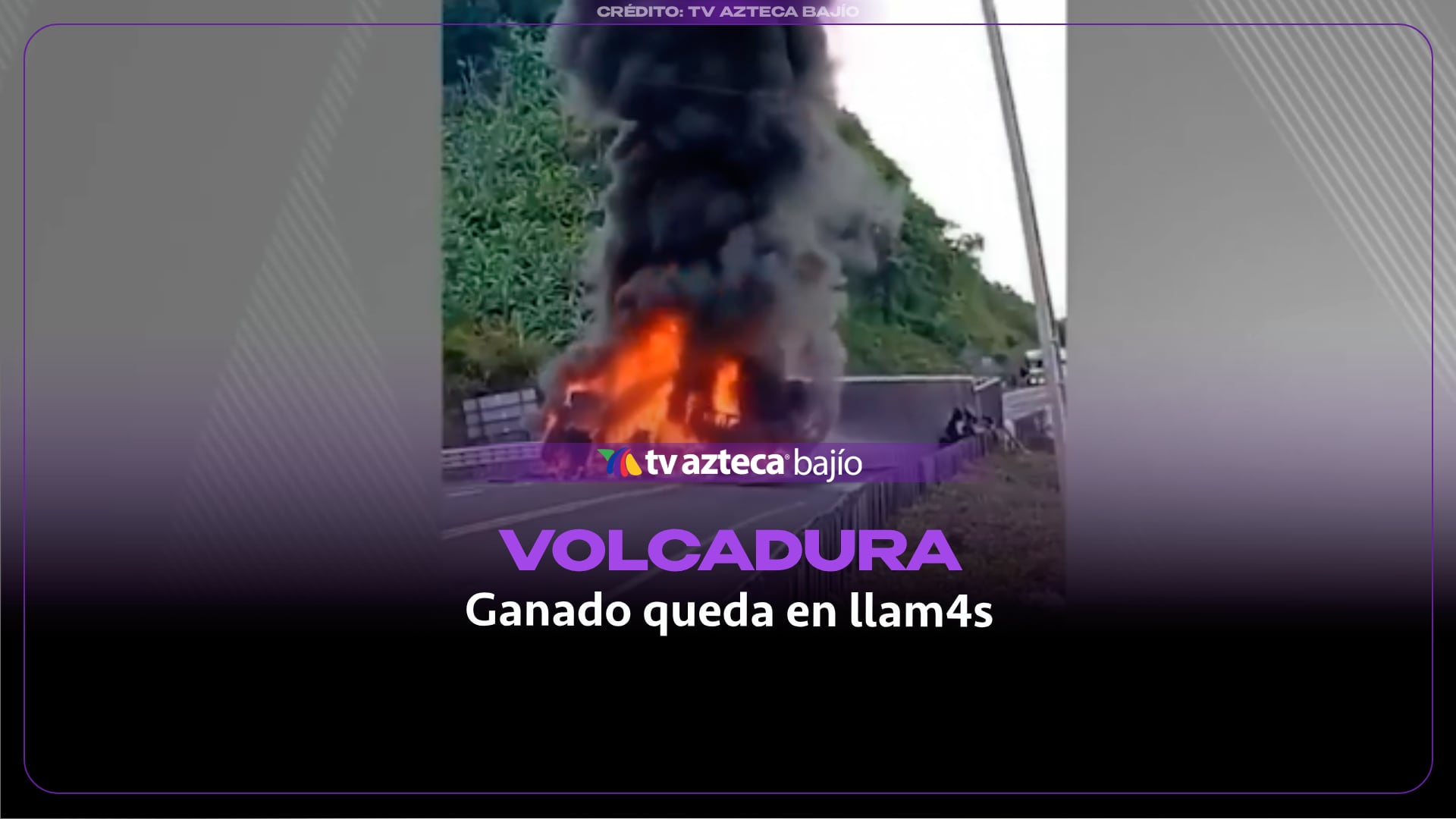 (VIDEO) Tráiler cargado con ganado sufre APARATOSA VOLCADURA y se INCENDIA en la carretera; deja víctimas m0rtales