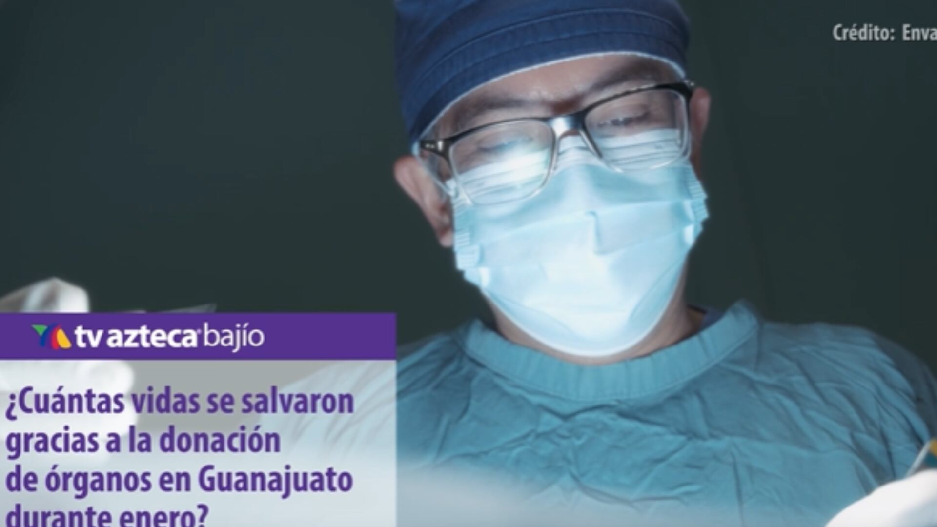 órganos.png